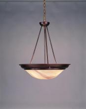 Hi-Lite MFG Co. H-8022-D-77-HANDPAINTED - 2-LIGHT PENDANT